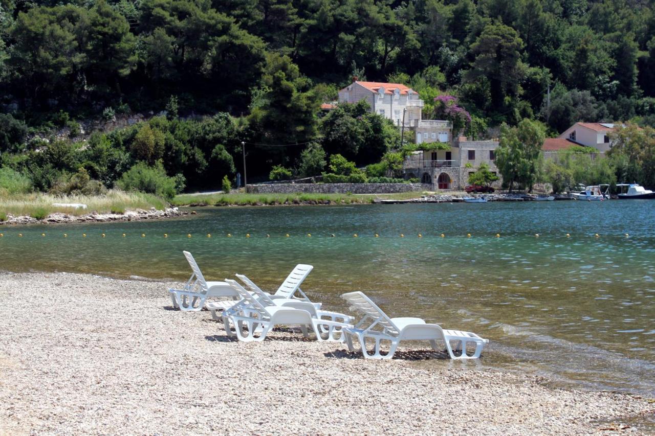 Apartments And Rooms With A Swimming Pool Slano, Dubrovnik - 2179 Exterior foto